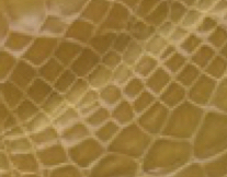 chartruese