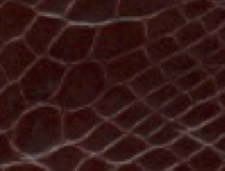 light cordovan