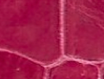 pepto pink
