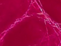 pretty in pink
