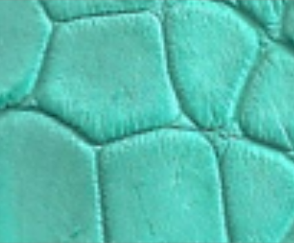 bright turquoise