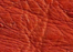 tangerine