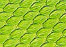 patte green