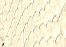 saddle white