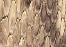 light taupe